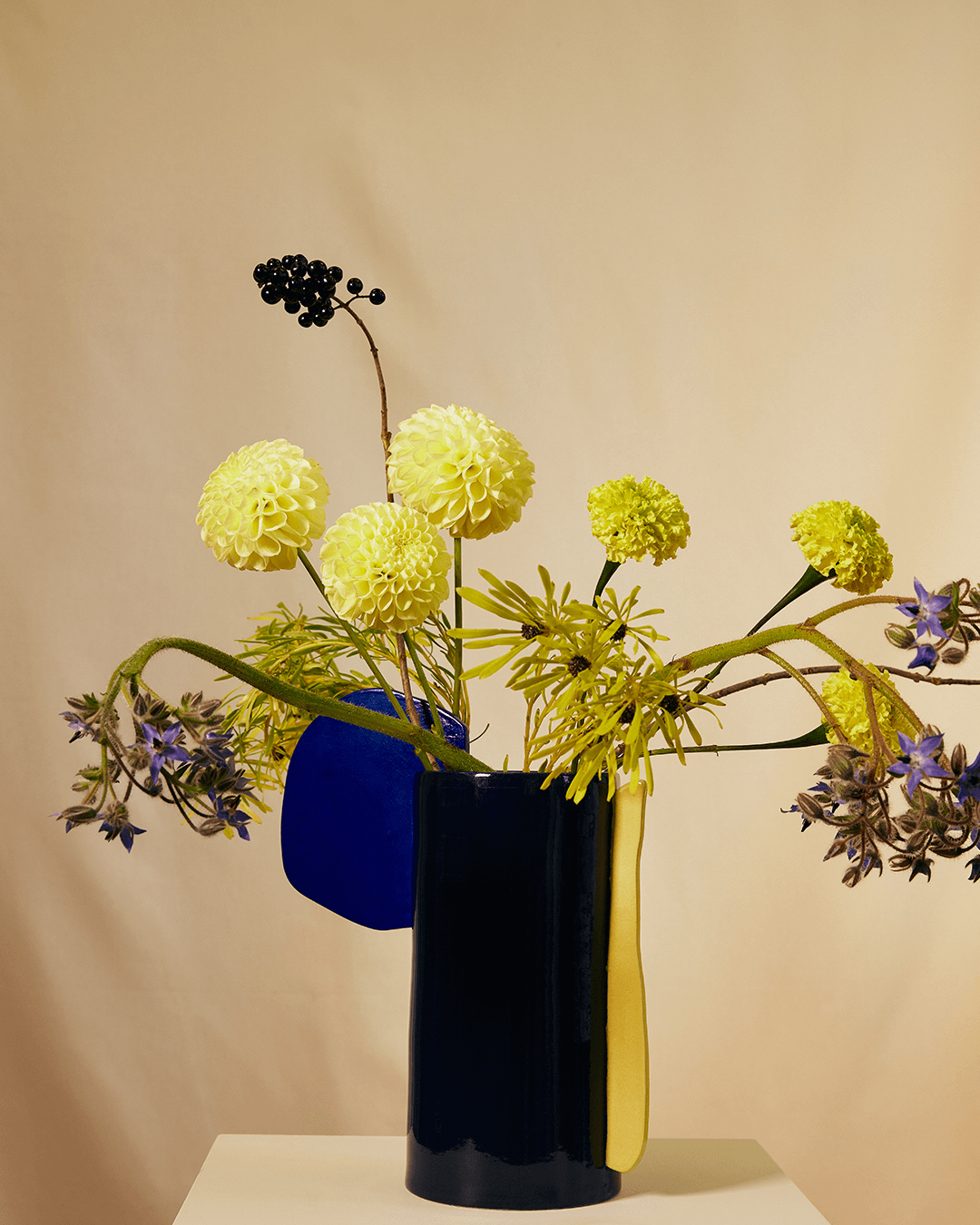 The ALA Vase is a carefully handmade limited edition by Cristina Fagnani Ceramica. The ceramic vase unites a classy body shape with organically formed elements, reminding of a wing, which means "ala“ in Italian. Whether equipped with beautiful flowers or without, this vase is definitely always an eye-catcher. 